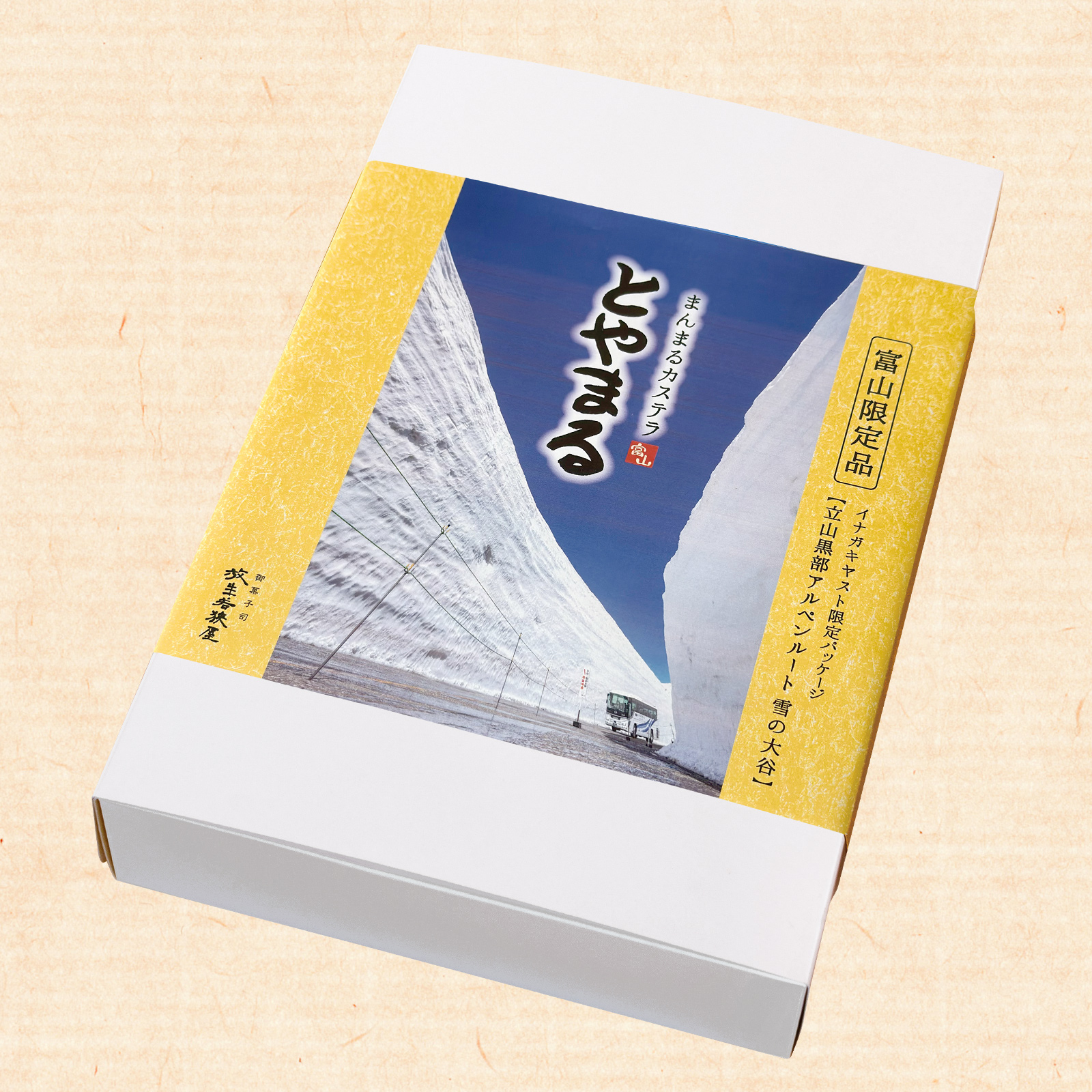 toyamaru-plain-ltd-yukinootani